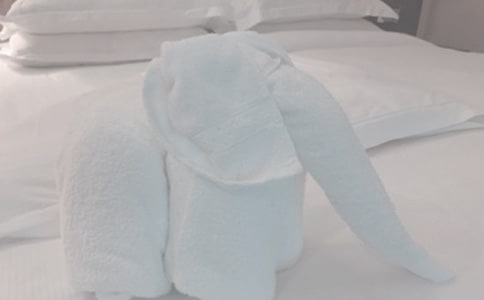 ĸ��(��i)��ë������