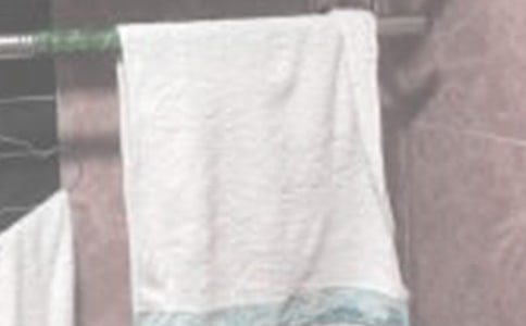 毛巾與游園會小學(xué)生作文