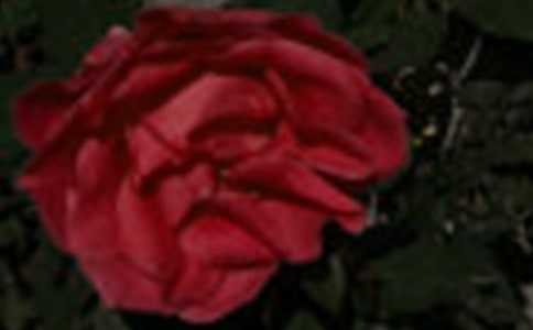 С·��õ�廨�̌W(xu��)��˼