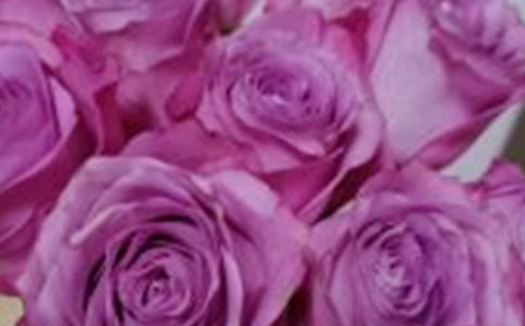 《小鹿的玫瑰花》教學(xué)反思