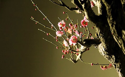 ������÷��������όW(xu��)�����g(sh��)�̰�