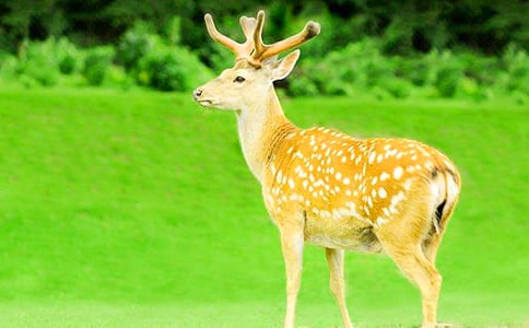 �Ř�(sh��)�µ�÷��¹