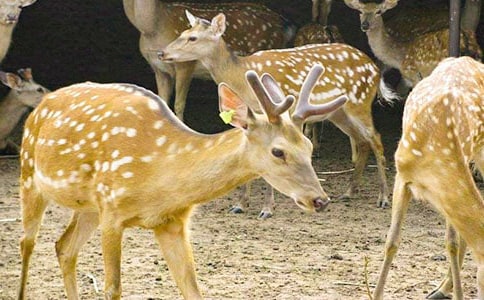 ÷��¹Ó�Uӛ����