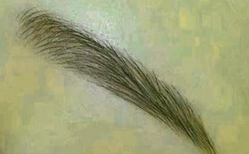 ���L(zh��ng)�첲����üë��ס�ۡ��](m��i)�˲������������y�Z����һ��(d��ng)������