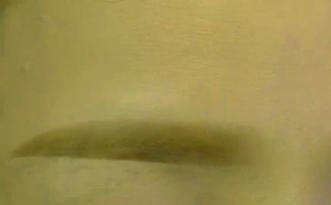 政治哲學(xué)復(fù)習(xí) 切忌“眉毛胡子一把抓”