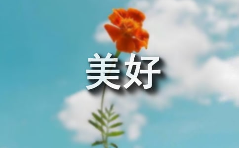 信賴往往創(chuàng)造出美好的境界優(yōu)秀作文500字(精選20篇)