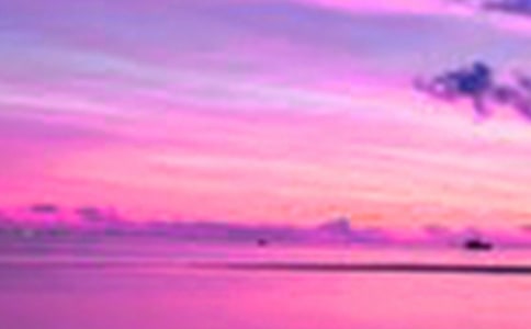 心中的美景作文