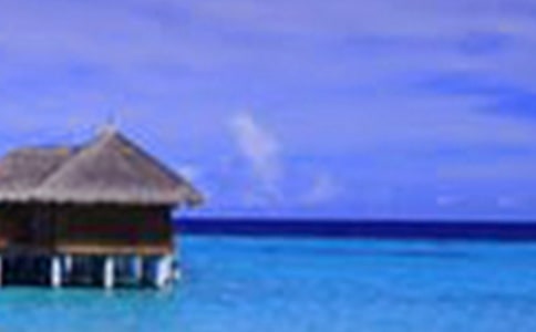 ���е�����