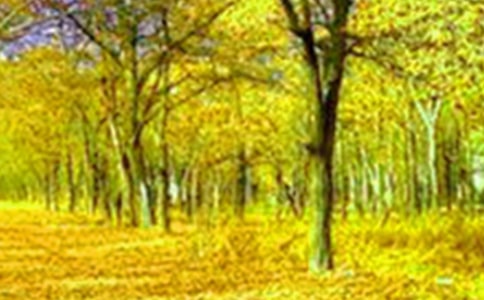 西湖美景作文(集合15篇)