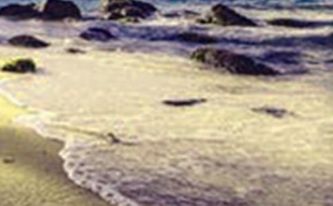 河清園的美景寫景作文