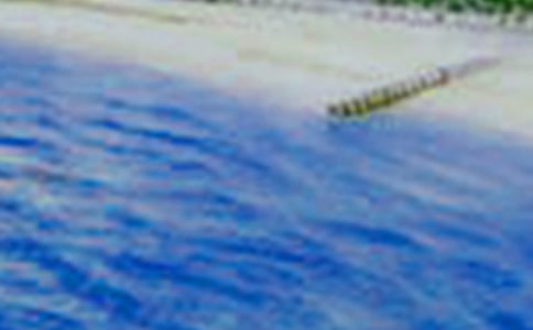 鄉(xiāng)村美景寫景作文