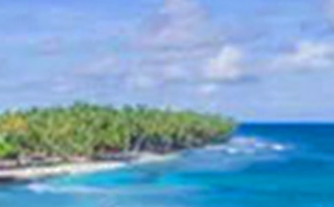 我眼中的美景作文600字(通用53篇)