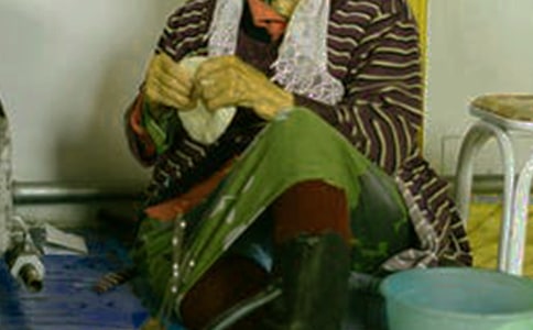 �ɹ��������Ʒ��������ɫ