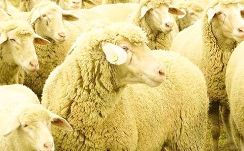 ����һ�^�옷(l��)��С�d��