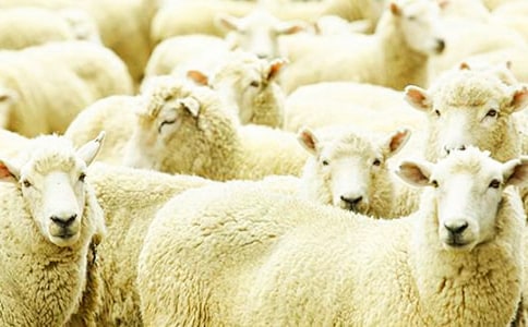 ���w����յľd�򡷽̰��O(sh��)Ӌ