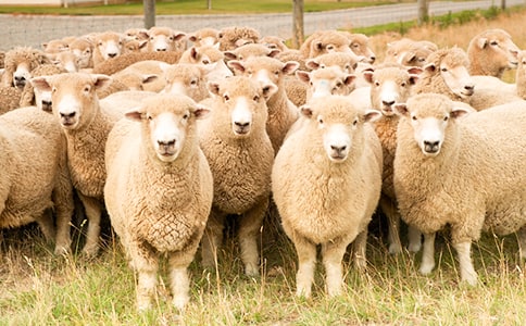 ͯȤ���^��d���i���Z������ţ�R���������ڞ����f���У����Ϳʁ������I(��һ����)