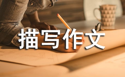 寫人的細節(jié)描寫作文(通用38篇)