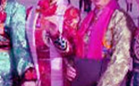 我心中的民族英雄作文