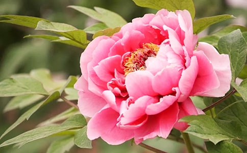 �����ĵ���@����