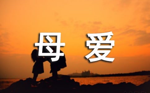 我心中的母愛作文450字