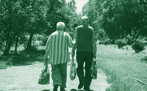 給老奶奶讓座作文350字