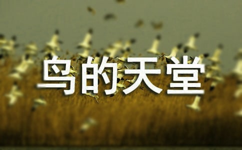 給鳥的天堂寫導(dǎo)游詞