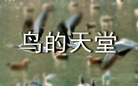 鳥的天堂導游詞(優(yōu)秀)