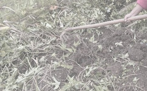 ��������������W(xu��)�ȡ �W(xu��)�M(f��i)ȫ����r(n��ng)��