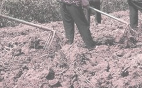 假期在家做農(nóng)活心得體會(huì)(通用5篇)