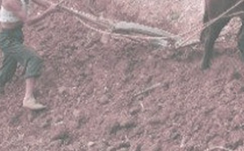 ���r(n��ng)������300�֣����x33ƪ��