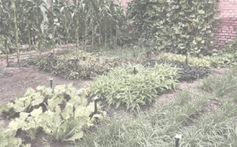 �h(hu��n)���h��h(hu��n)�������ذ��ؽ�����Ⱦ�^(q��)�r(n��ng)������Ⱦ�u�r