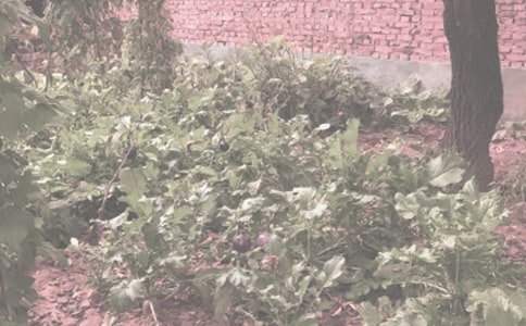 �r(n��ng)����N���A(y��)�s���a(ch��n)��ͬ