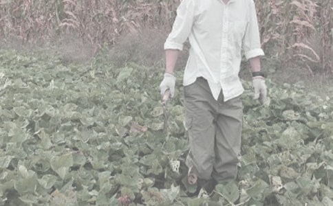 �Еr(sh��)�����������Еr(sh��)��������(��һ�r(n��ng)����)