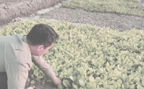 �r(n��ng)����N��ُ�N��ͬ