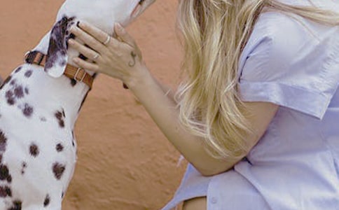 Ů�������ӿ��Գ����҆�