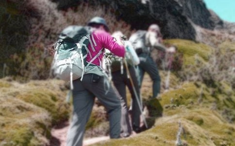 關(guān)于爬山的日記模板6篇