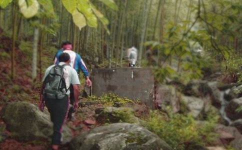 �y������ɽ����