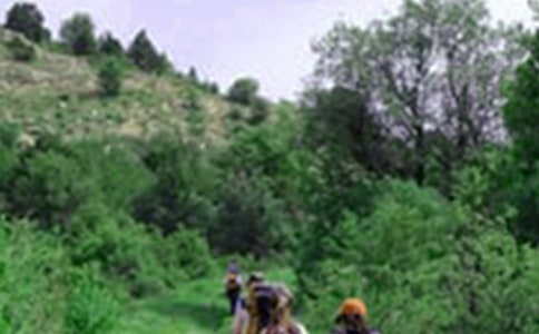 ��Ƭ�G�G����ɽ������