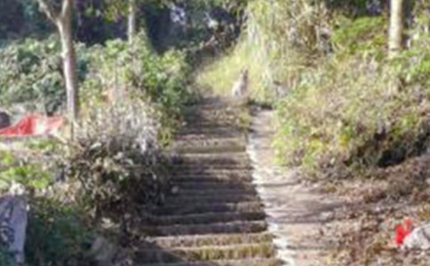 ��ɽ����600�օR��[4ƪ]