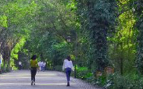 ��ɽ�ľ���15ƪ