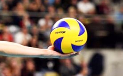 排球社工作總結(jié)