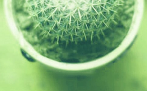 �������������ӳ��L������