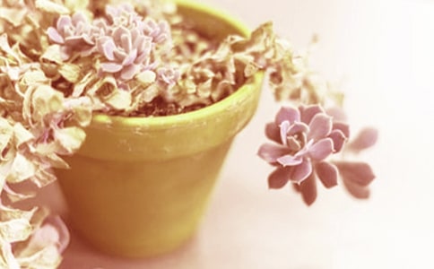 ����600������