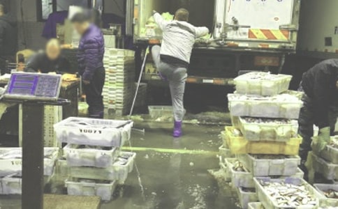 ˎƷ���l(f��)��I(y��)�}������ƶȣ����x14ƪ��