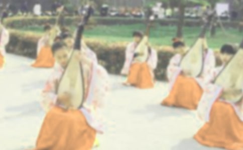 琵琶行致父母親情作文