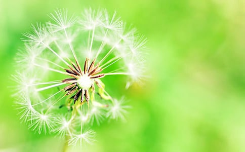 ��������̰�����СС�ѹ�Ӣ��