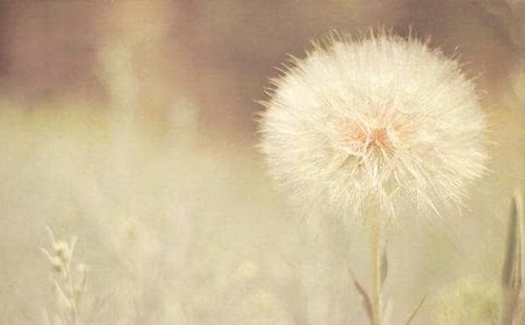 С�W�Z��S�����꼉�σ�15���n�ѹ�Ӣ�ĉ����m(x��)�����ģ�ͨ��20ƪ��