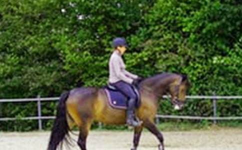 騎馬的作文