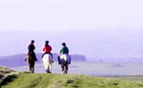 第一次騎馬作文