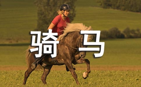 �P(gu��n)���T�R������